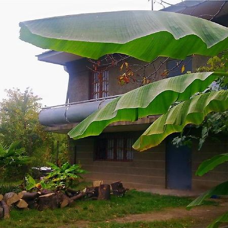 Farmer'S Guest House Telavi Exterior foto