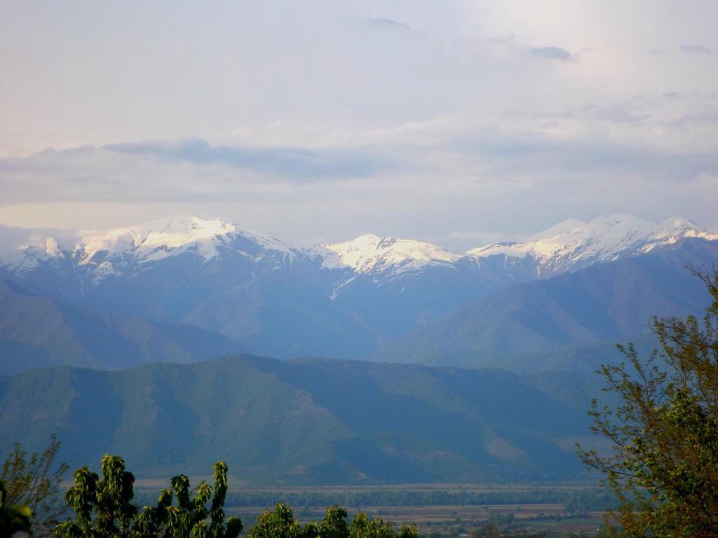 Farmer'S Guest House Telavi Exterior foto